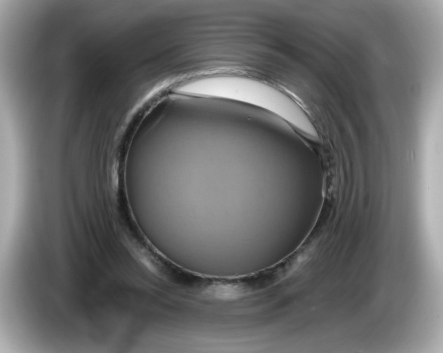 X0000086020350200704091118