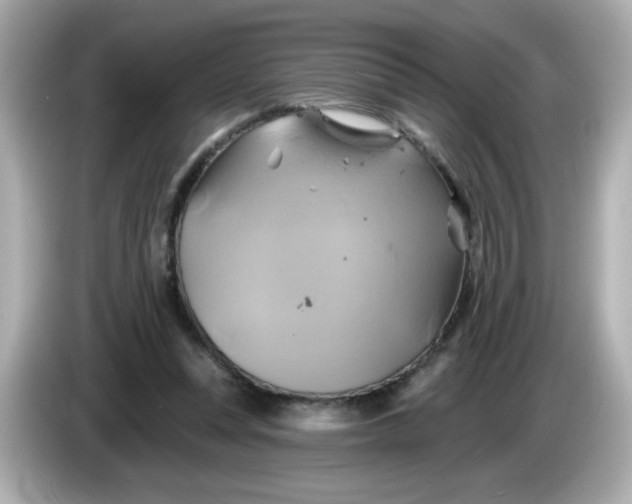 X0000086020351200704091118