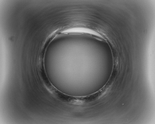 X0000086020352200704091118
