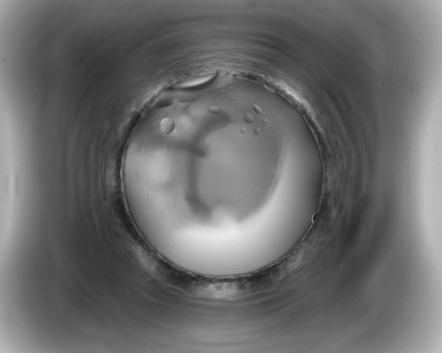 X0000086020353200704091118