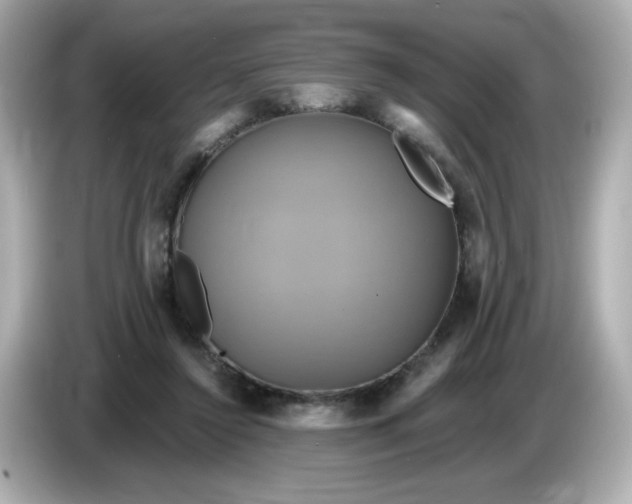 X0000086020356200704091118
