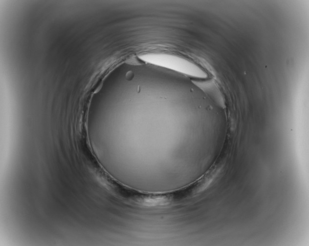X0000086020357200704091118