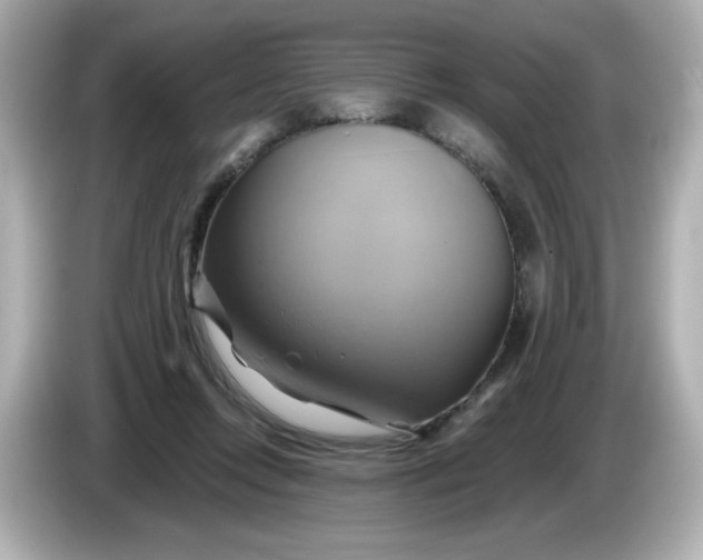 X0000086020358200704091118