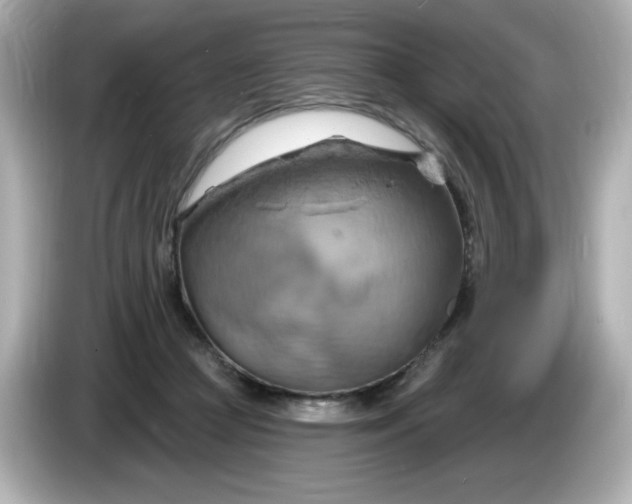 X0000086020361200704091118