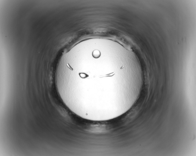 X0000086020362200704091118