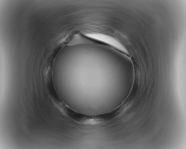 X0000086020364200704091118