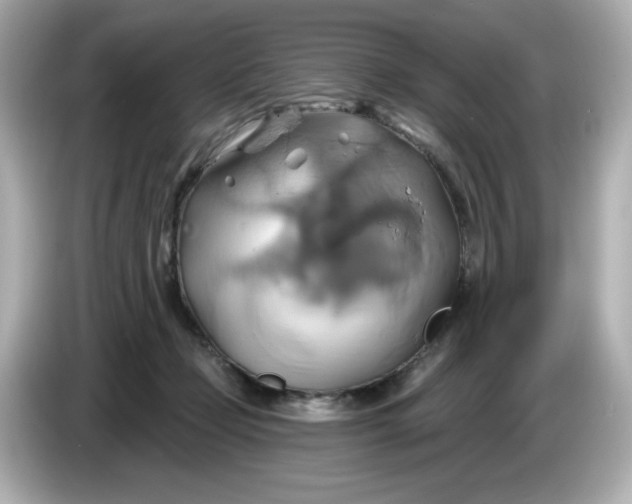 X0000086020365200704091118