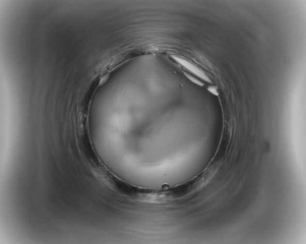 X0000086020366200704091118
