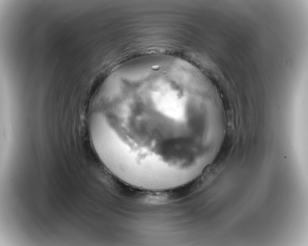 X0000086020369200704091118