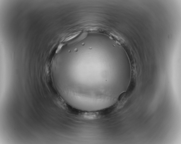 X0000086020373200704091118