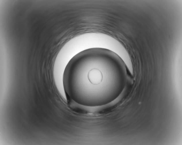 X0000086020376200704091118