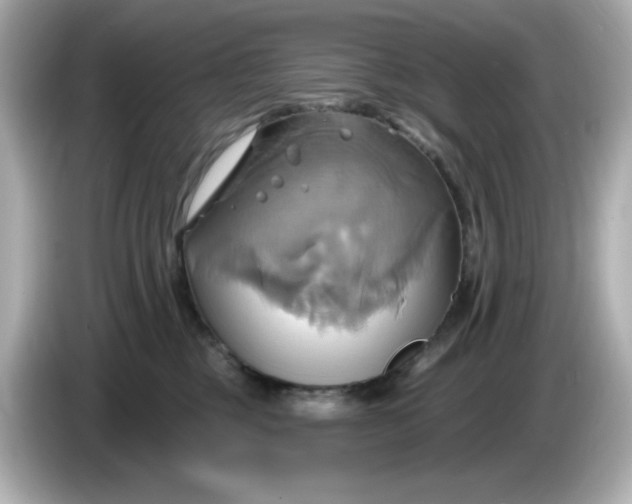 X0000086020377200704091118
