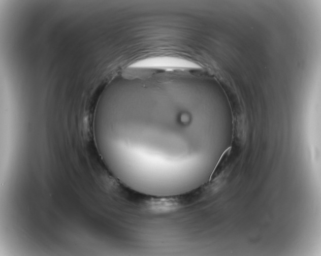 X0000086020378200704091118