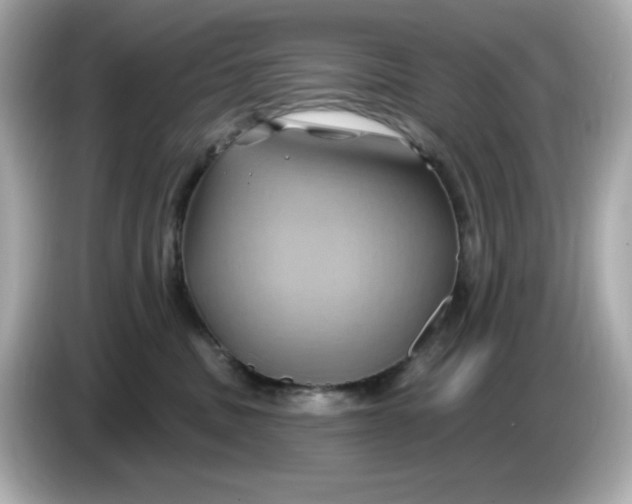 X0000086020379200704091118