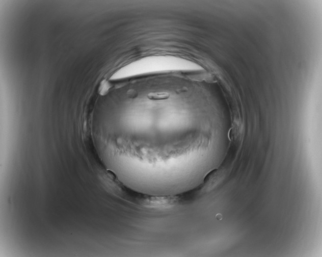 X0000086020381200704091118