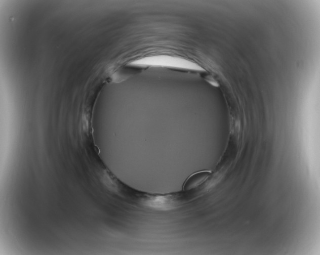 X0000086020382200704091118