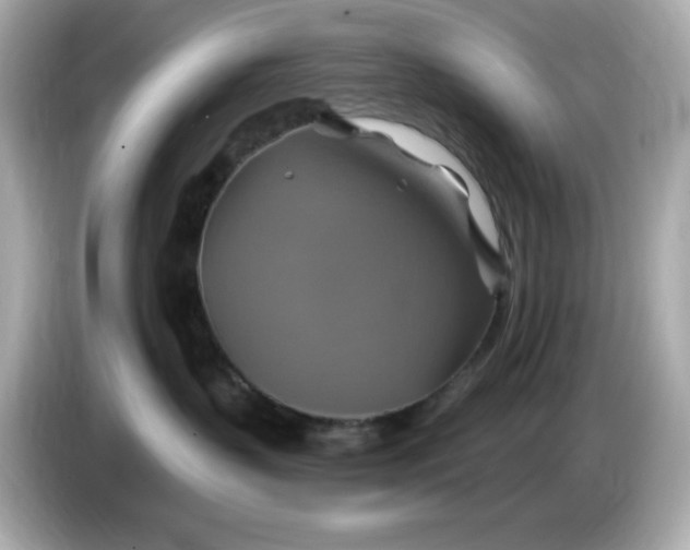 X0000086020383200704091118