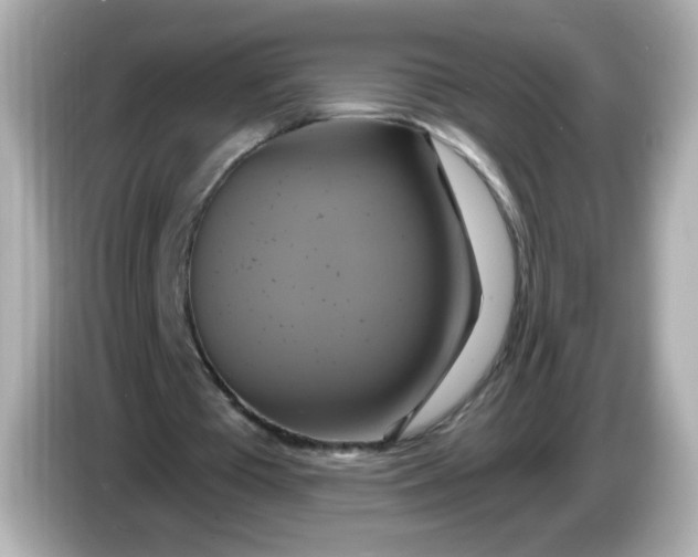 X0000086020385200704091117