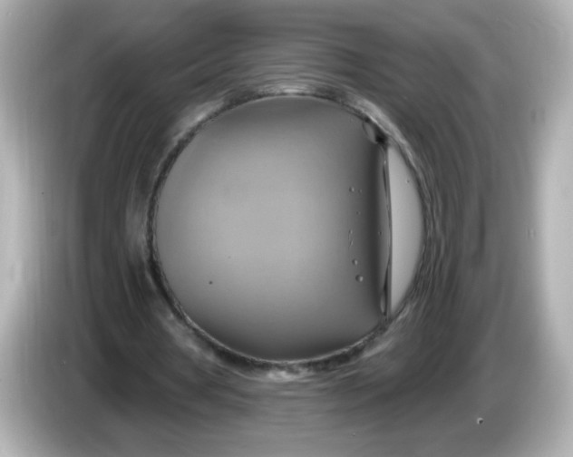 X0000086020386200704091117