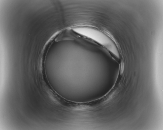 X0000086020387200704091117