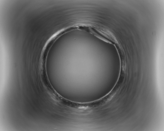 X0000086020388200704091117