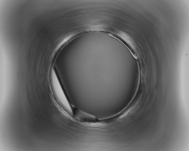 X0000086020389200704091117