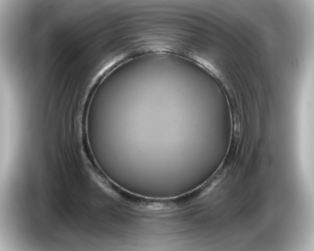 X0000086020390200704091117