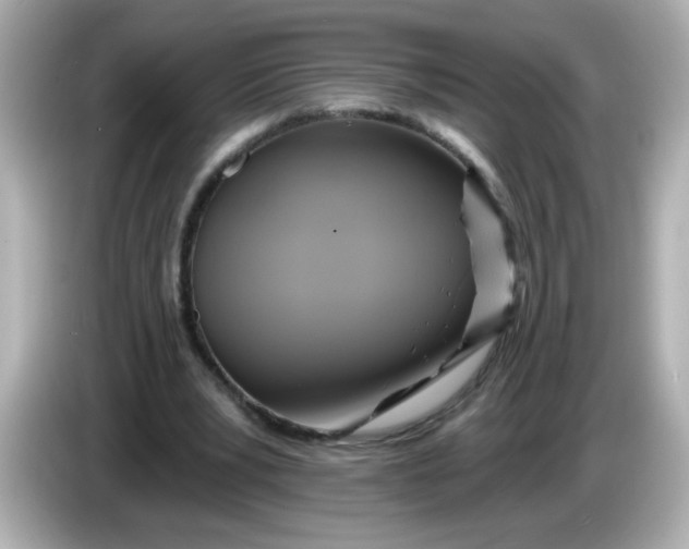 X0000086020391200704091117