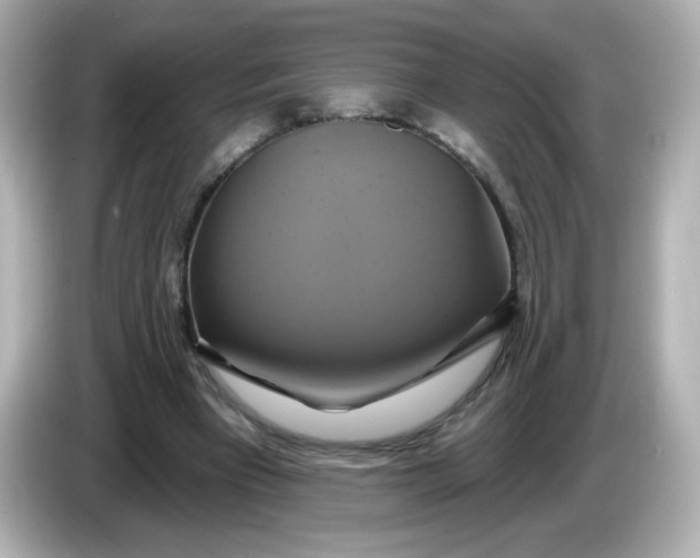 X0000086020393200704091117