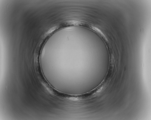 X0000086020394200704091117
