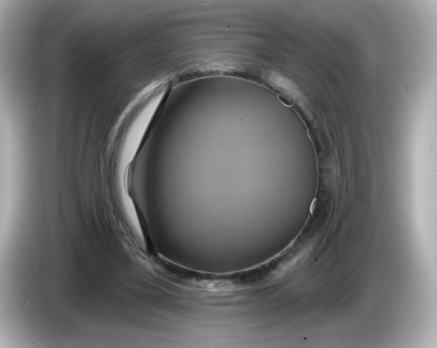 X0000086020395200704091117