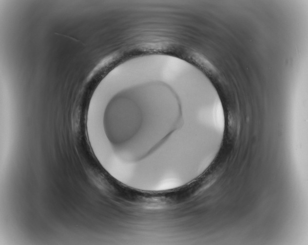 X0000086020396200704091117