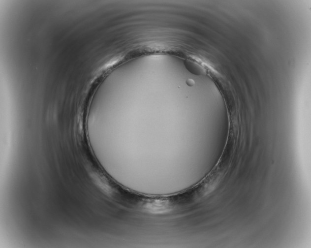 X0000086020398200704091117