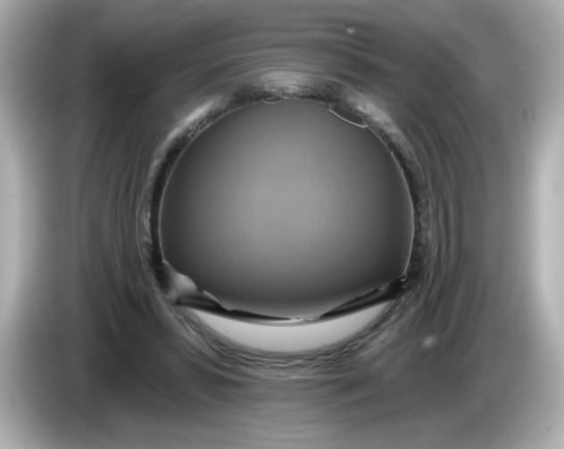 X0000086020399200704091117