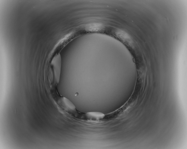 X0000086020400200704091117