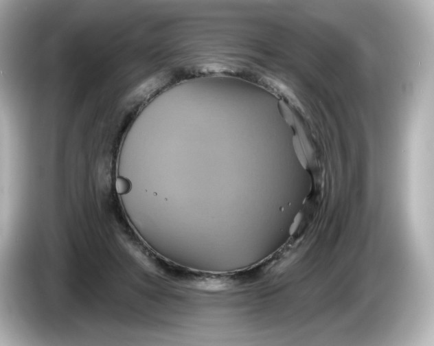 X0000086020402200704091117