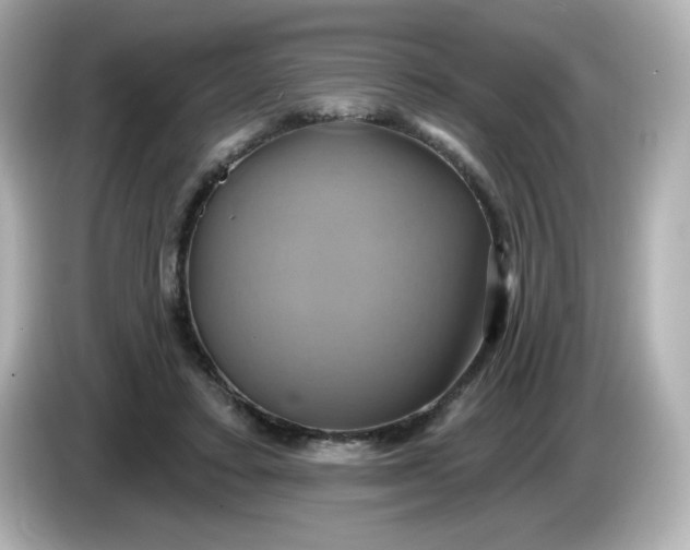 X0000086020403200704091117
