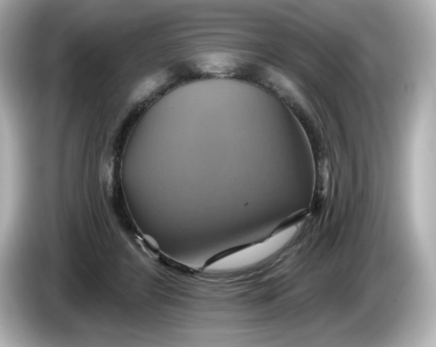 X0000086020404200704091117