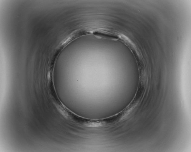 X0000086020405200704091117