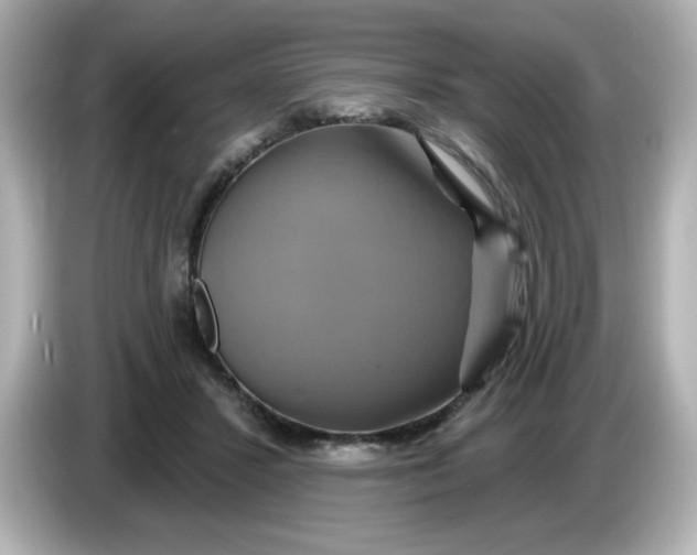 X0000086020407200704091117
