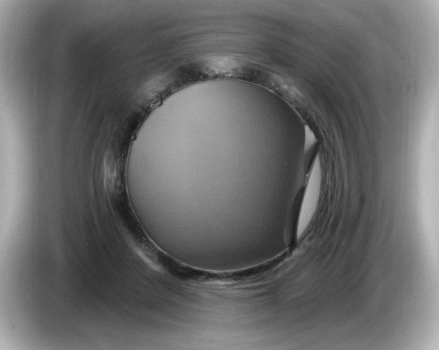 X0000086020408200704091117