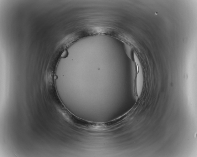X0000086020410200704091117