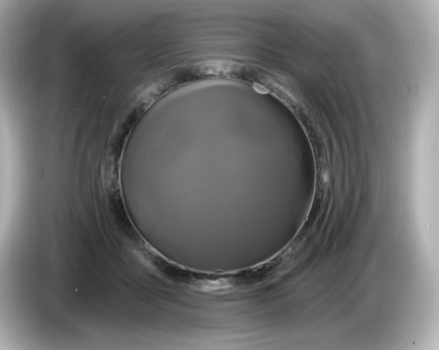 X0000086020411200704091117