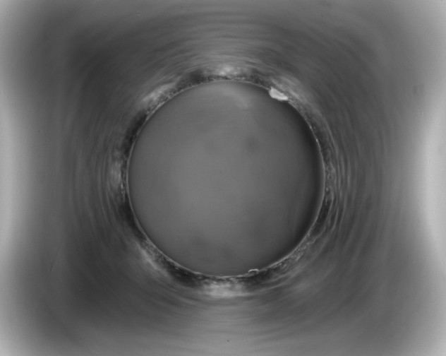 X0000086020415200704091117
