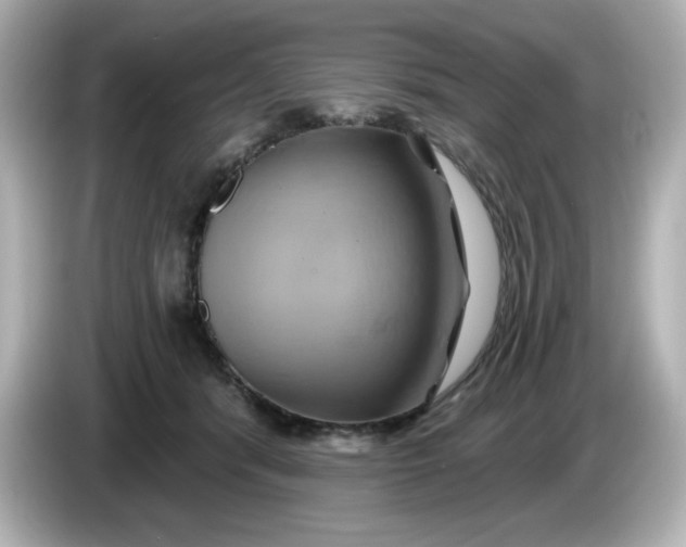 X0000086020416200704091117