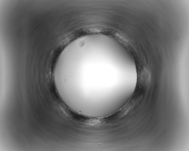 X0000086020418200704091117