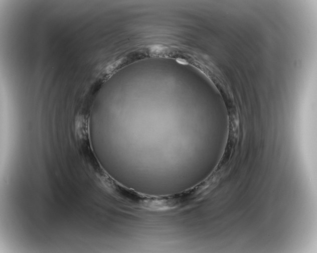 X0000086020419200704091117