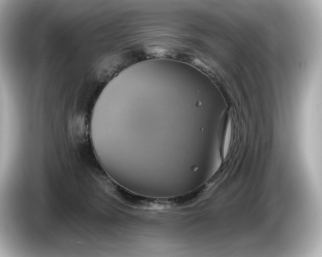 X0000086020420200704091117