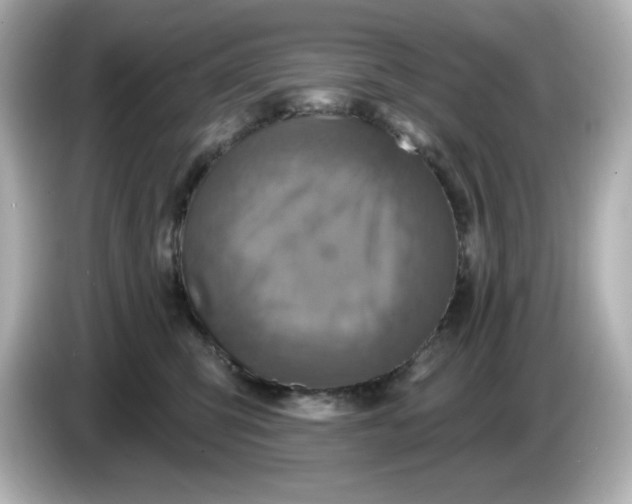X0000086020423200704091117