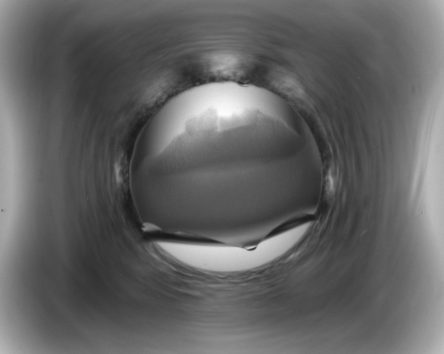 X0000086020424200704091117